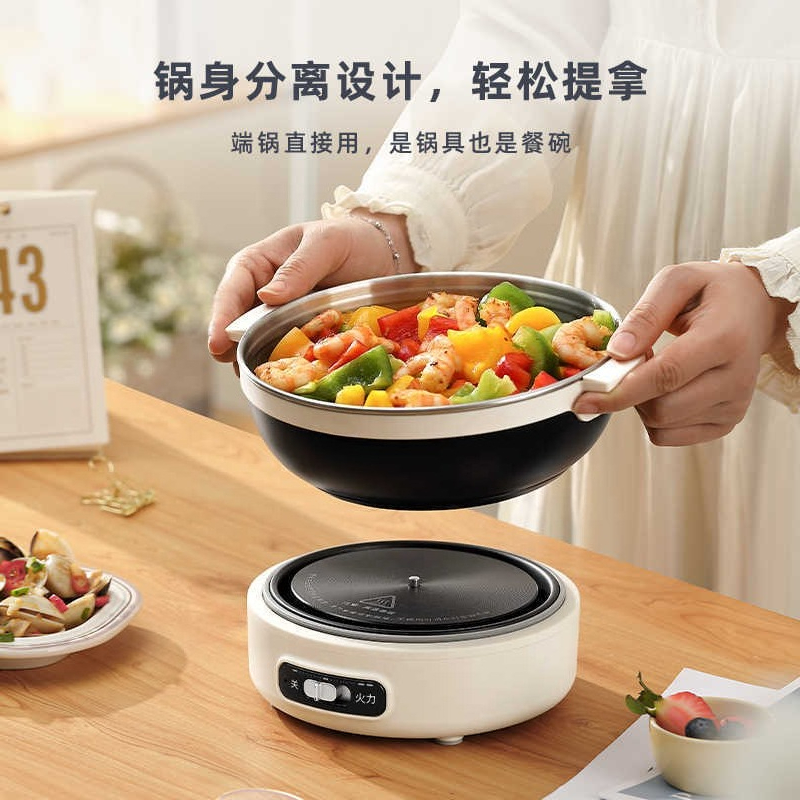 Tragbarer, faltbarer elektrisc – Home Cooking Business Bewertung und Preis
