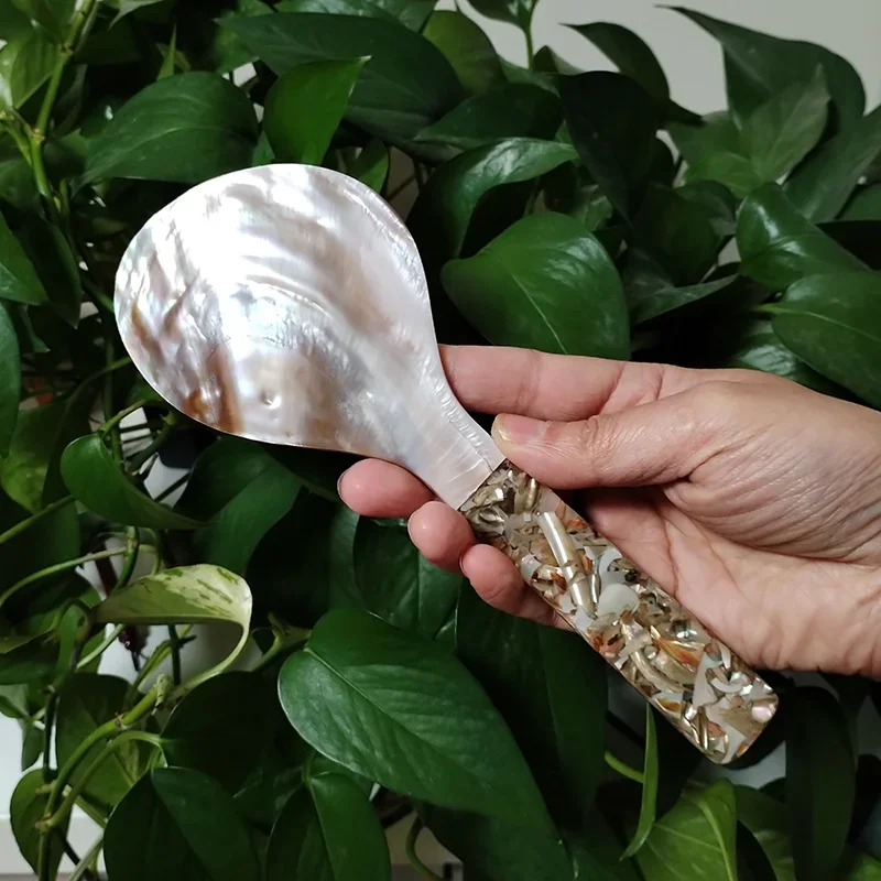 Natürlicher Perlmutt-Reislöffe – Home Cooking Meals Bewertung und Preis