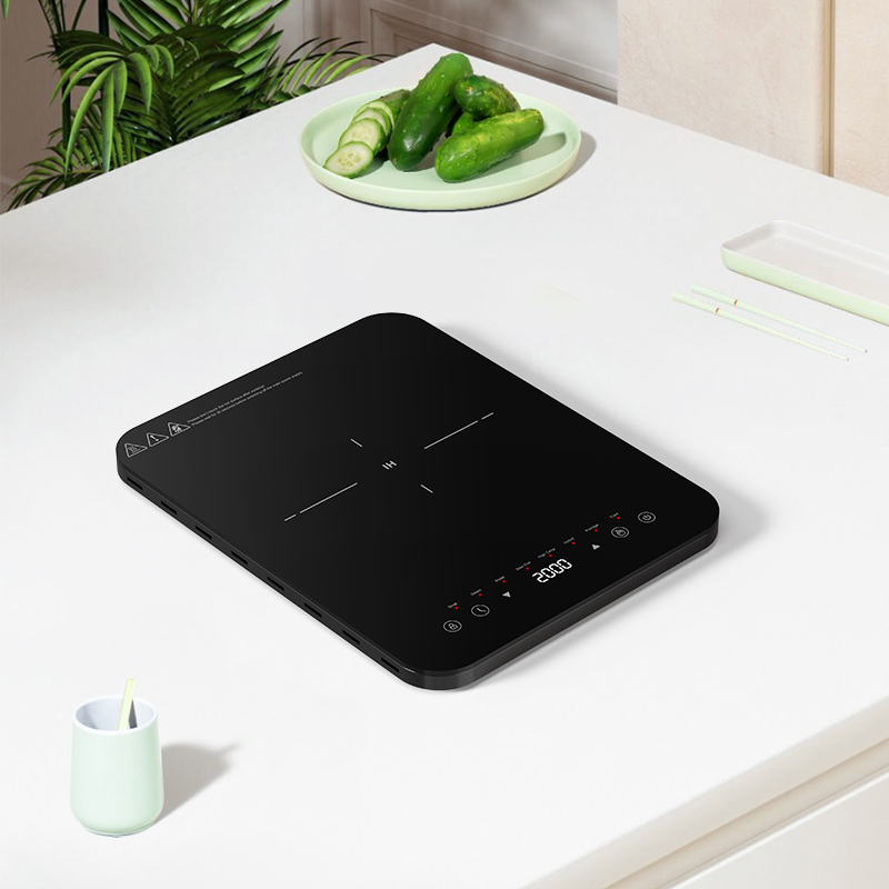 Induktionskochfelder mit doppe – Hot Pot Portable Dual Bewertung und Preis