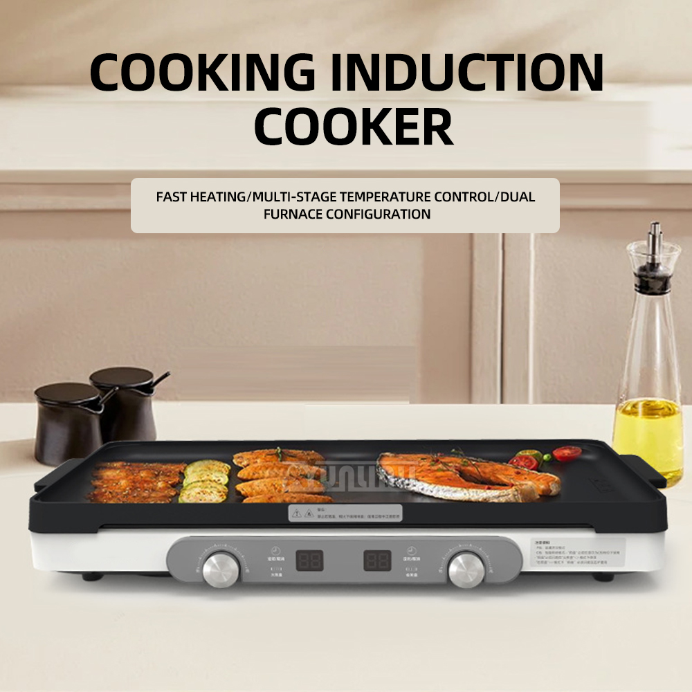 Doppelter Küchenkochfeld, Haus – Hot Pot Portable Dual Bewertung und Preis