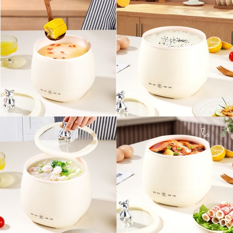 1 Stück 1,8L Mini-Elektrokoche – Hot Pot Portable Dual Bewertung und Preis