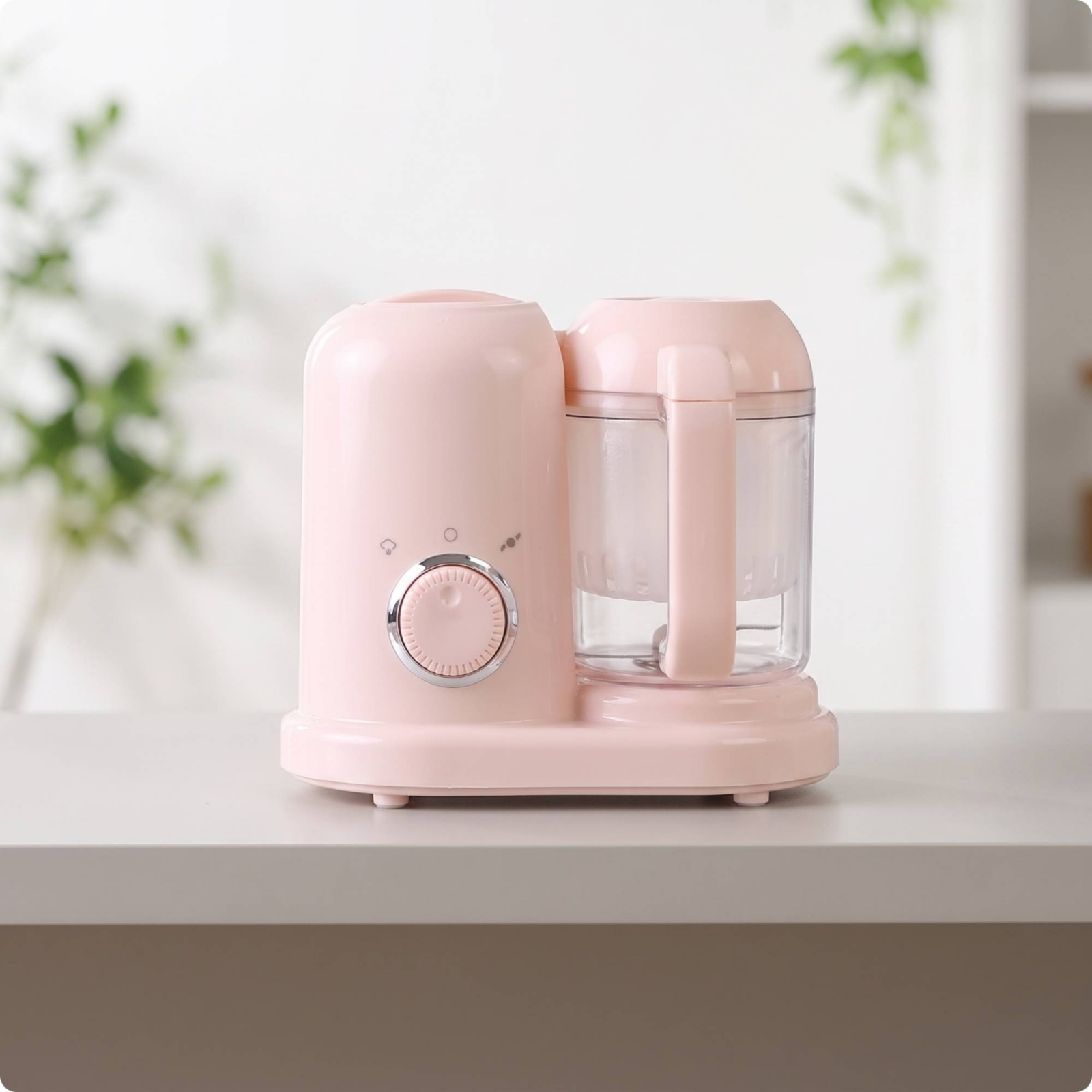 Haustierfutterbereiter für die – Home Cooking Dog Food Bewertung und Preis
